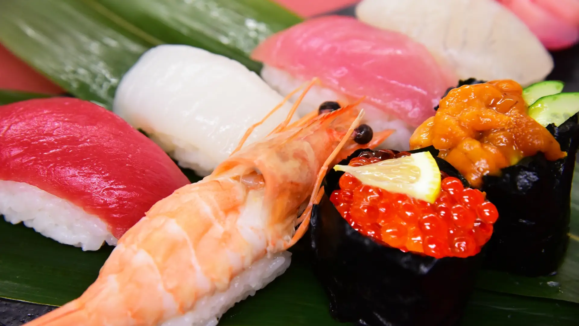 広島の一度は行ってみたい高級お寿司屋5選！【2024年版】 のメイン画像